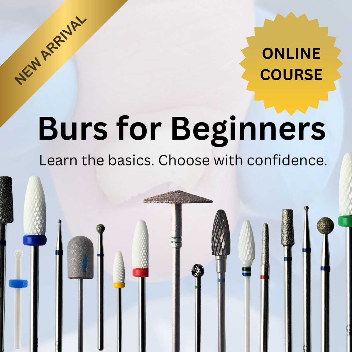 Burs for Beginners: Learn the Basics